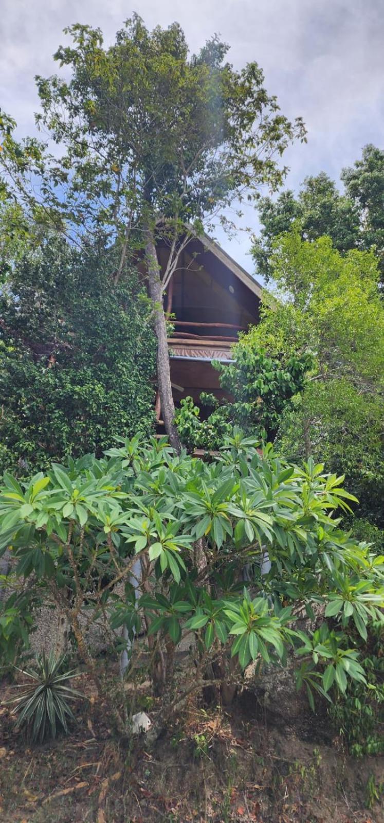 Why Nam Beach Strand Strand Haad Yuan Exterior foto